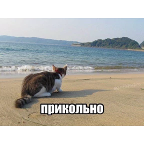 Стикер 32 из набора Котике