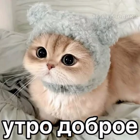 Стикер 27 из набора Доброва утра