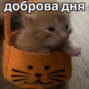 Стикер 26 из набора Доброва утра