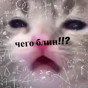 Стикер 38 из набора rrollfr