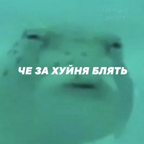 Стикер 42 из набора rrollfr