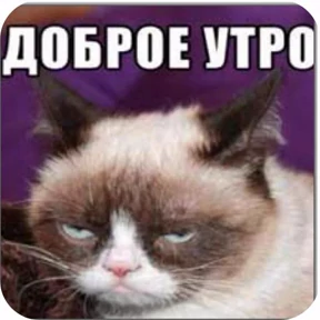 Стикер 34 из набора Как_же_я_зaeбaлся