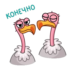 Стикер