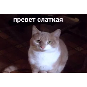Стикер