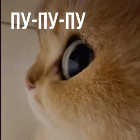 Стикер 26 из набора avotamloda2