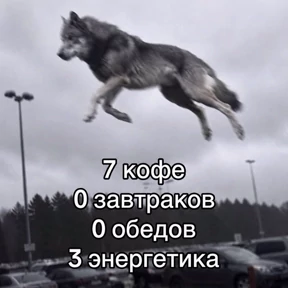Стикер 43 из набора rrollfr