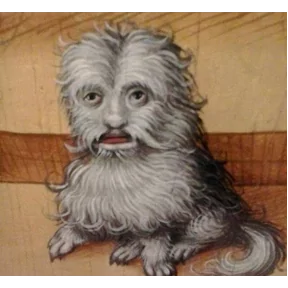 Стикер