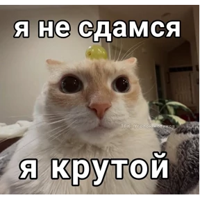 Стикер 30 из набора степлер