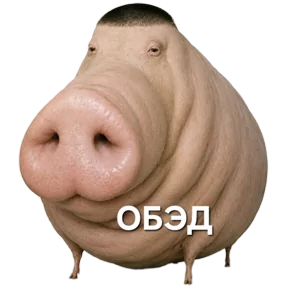 Стикер