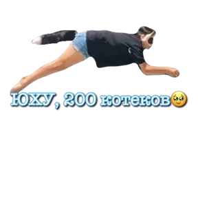 Стикер