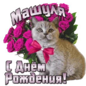 Стикер 17 из набора День рождения