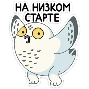 Стикер