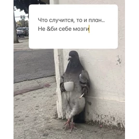 Стикер 97 из набора База 126