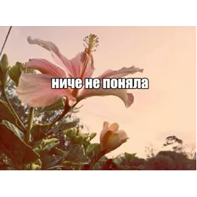 Фото — 6 сентября 2026 г. в 15:00:01.554