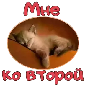 Стикер