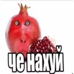 Стикер