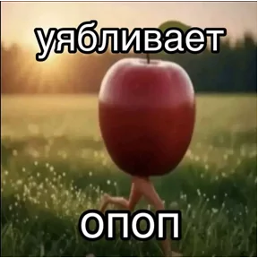 Стикер