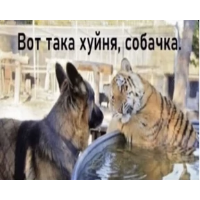 Стикер 20 из набора екарный бабай