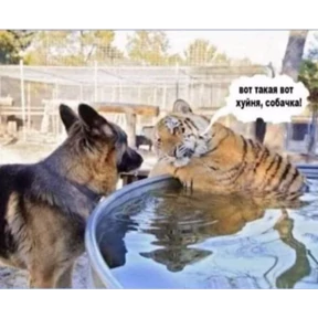 Стикер 30 из набора твииии