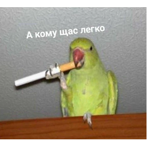 Стикер 34 из набора твииии