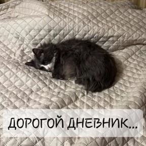 Стикер 63 из набора Крысиные