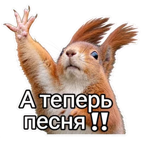Стикер
