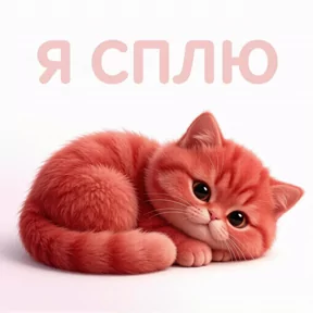 Стикер
