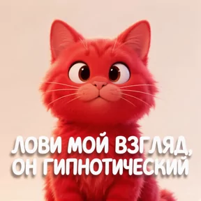 Стикер
