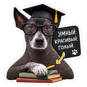 Стикер