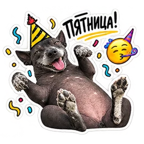 Стикер