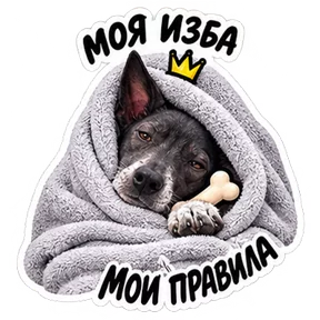 Стикер