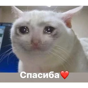 Фото — 28 августа 2026 г. в 17:53:19.654