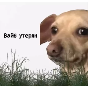 Стикер