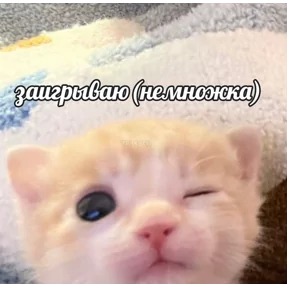 Стикер из сообщения канала