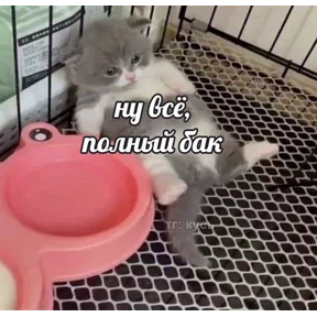 Стикер
