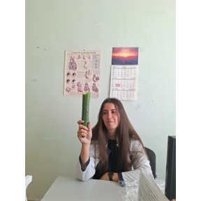 Стикер 13 из набора Уточки