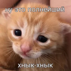 Фото — 7 сентября 2026 г. в 19:00:01.019