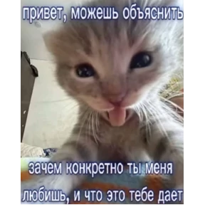 Стикер