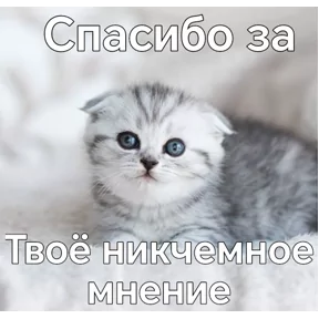 Стикер