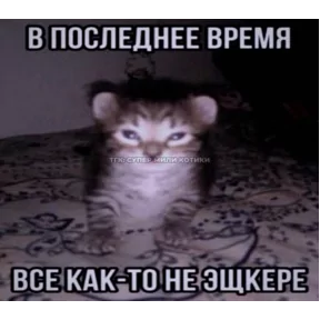 Фото — 13 сентября 2026 г. в 12:03:20.870