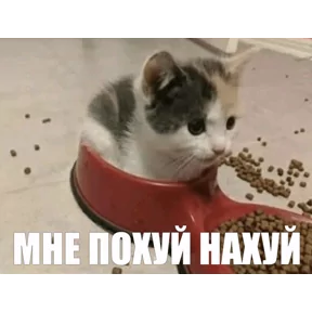 Стикер