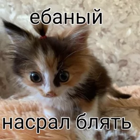 Стикер из сообщения канала