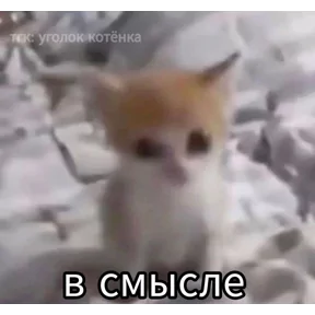 Стикер
