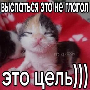 Стикер
