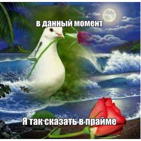 Стикер