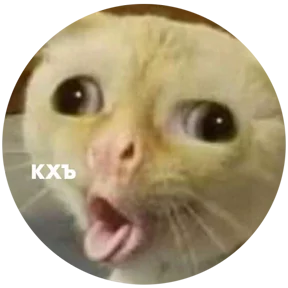 Стикер