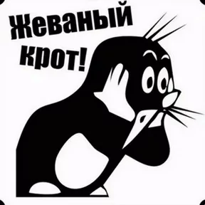 Стикер