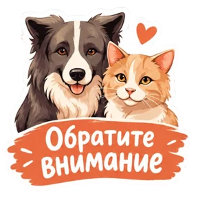 Стикер
