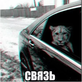 Стикер