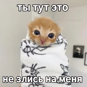 Публикация